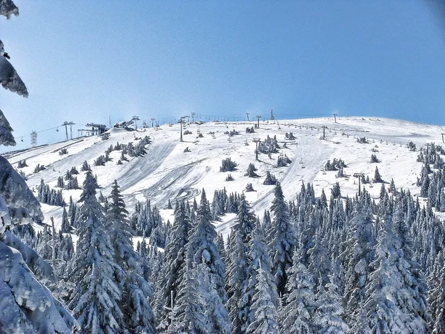 Smeštaj u destinaciji Kopaonik